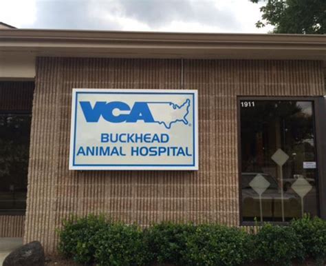 buckhead animal clinic|free dog clinic near me.